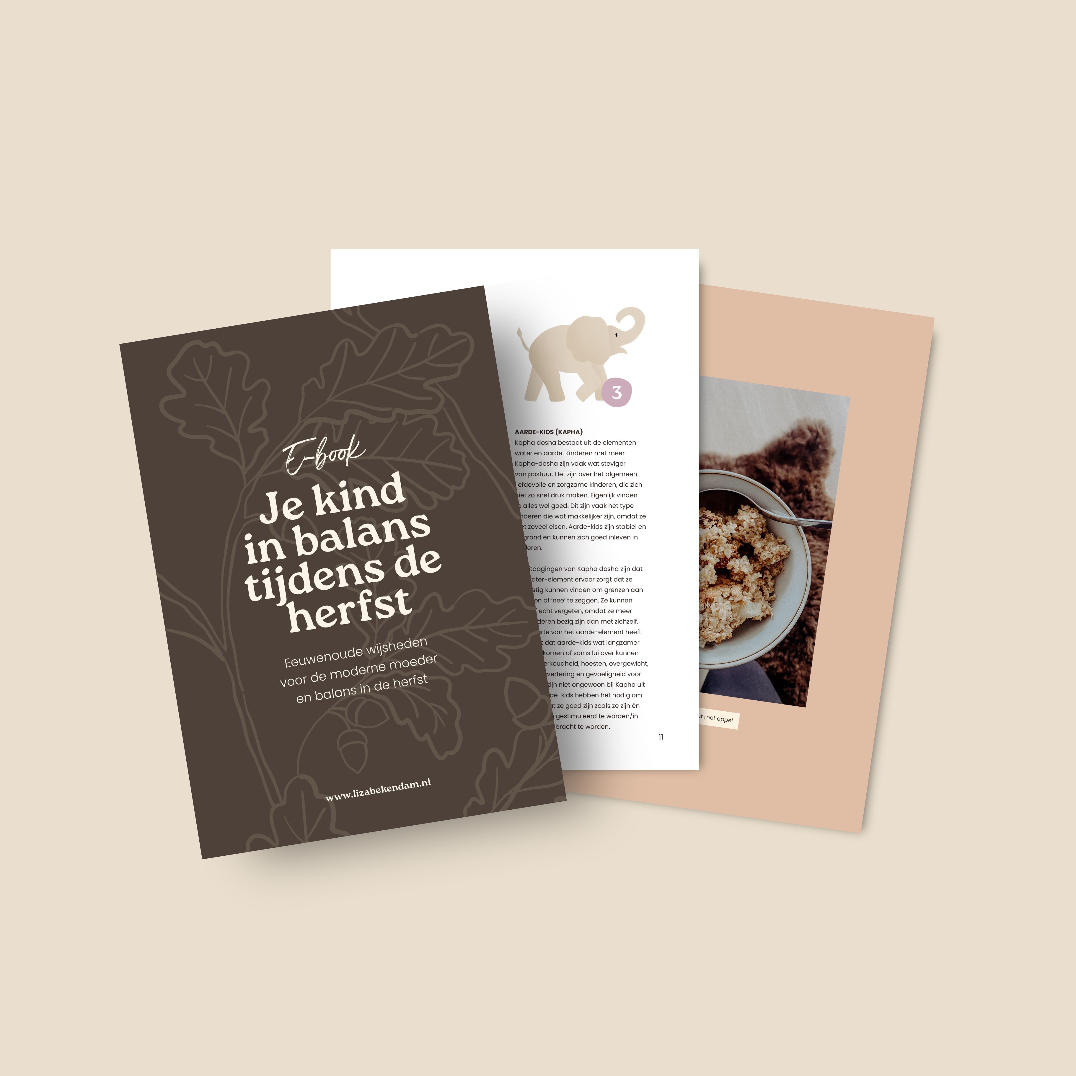 E-book Je kind in balans tijdens de Herfst en Winter